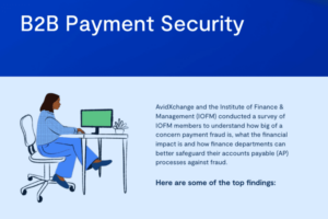 b2b payment security infographic