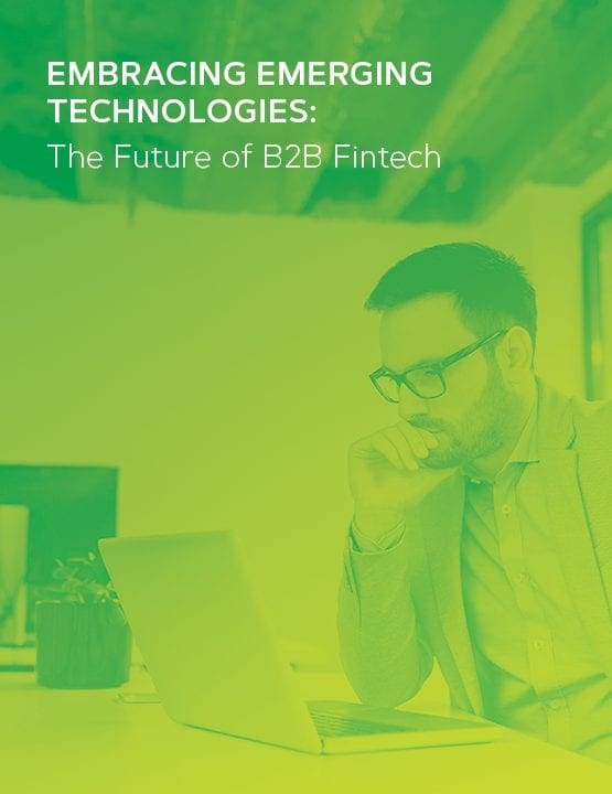 photo of businessman looking at computer with text overlay, "Embracing emerging technologies: The future of B2B fintech"