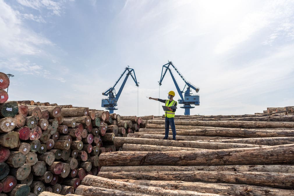 Raw materials being prepared for construction