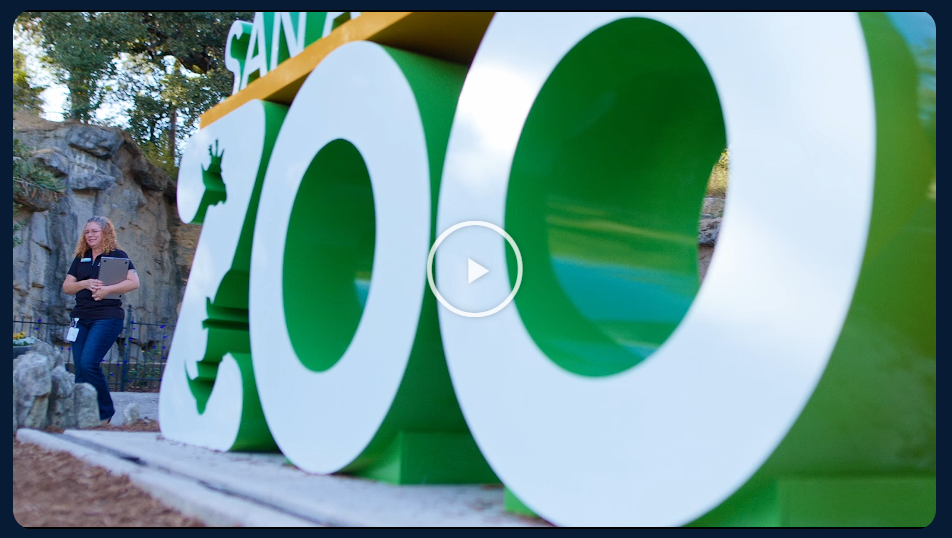 Video Play Button