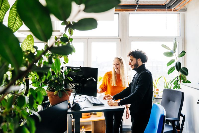 Two colleagues centralizing multi-entity payments in bright office